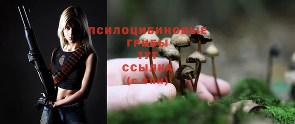 spice Баксан