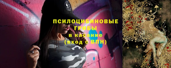 spice Белокуриха