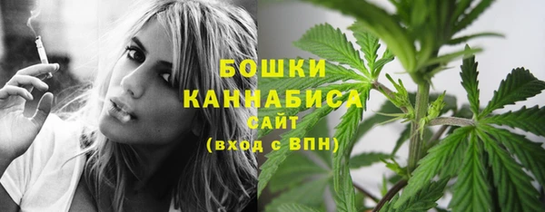 spice Белокуриха