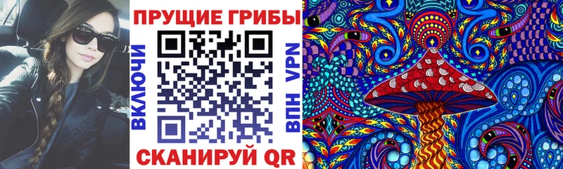 Псилоцибиновые грибы Cubensis  Короча 